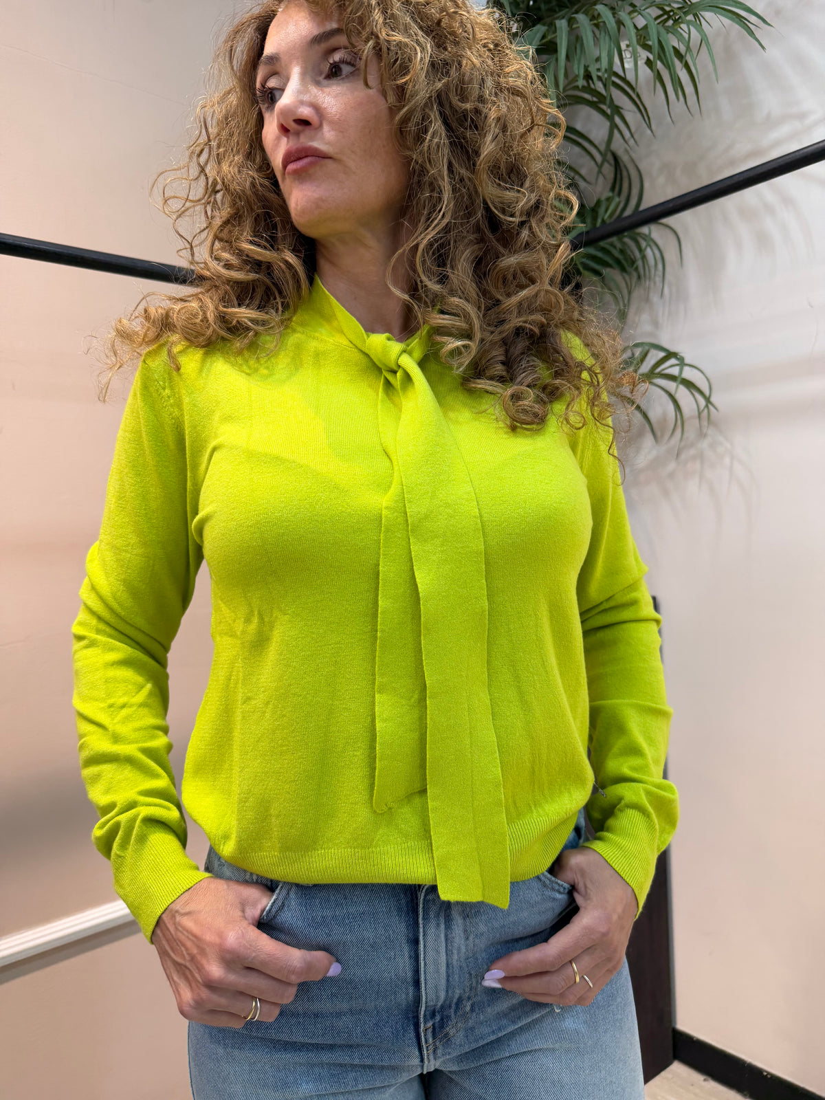 Maglia Dixie